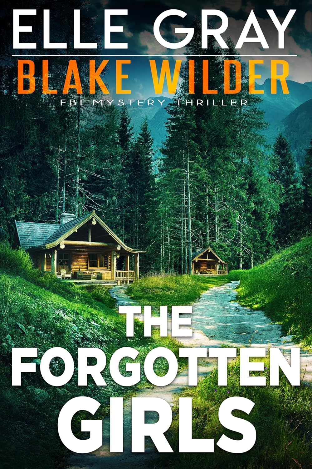 The Forgotten Girls (Blake Wilder FBI Mystery Thriller
